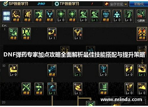 DNF弹药专家加点攻略全面解析最佳技能搭配与提升策略